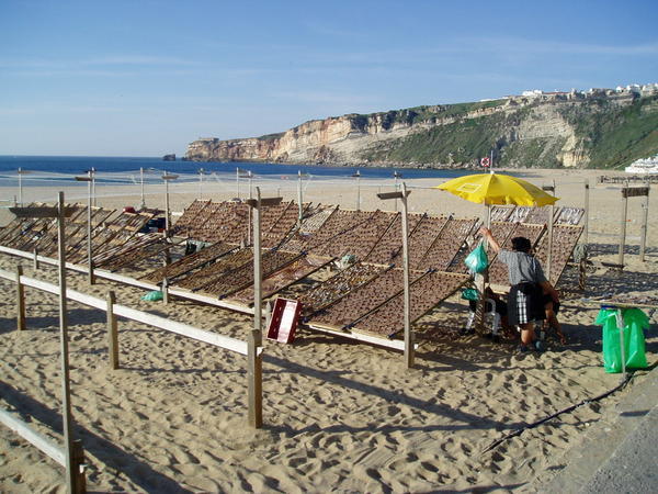 Ladies drying fish in the sun in Nazare