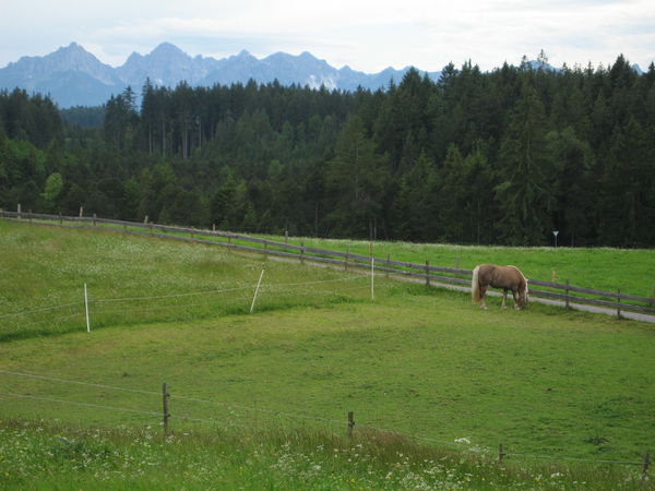 Fields near Wies Kirche