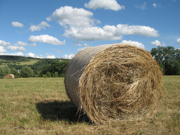 Rolls of hay near town