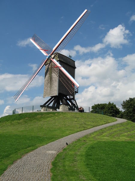 Windmills in the park