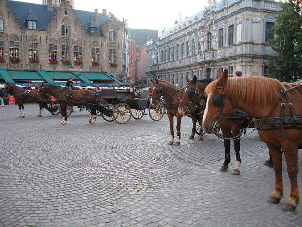 Horses and carriages around town