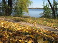 Autumn on Lake Calhoun