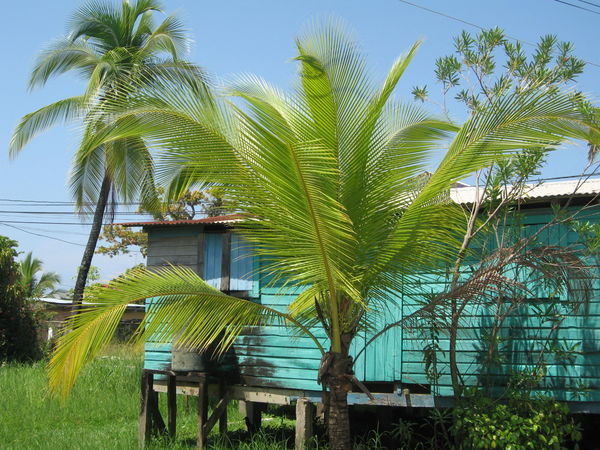 Colorful house in Bocas del Toro