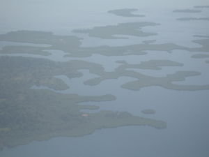 Bocas from above
