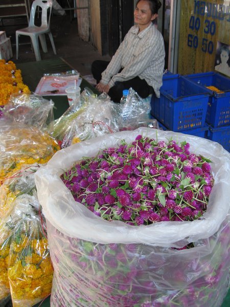 Walking through the flower market