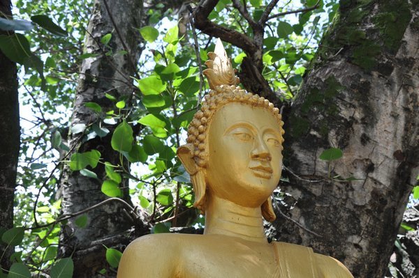 09 A buddha under a bodhi tree