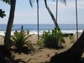 Playa Grande, hvor vi surfede