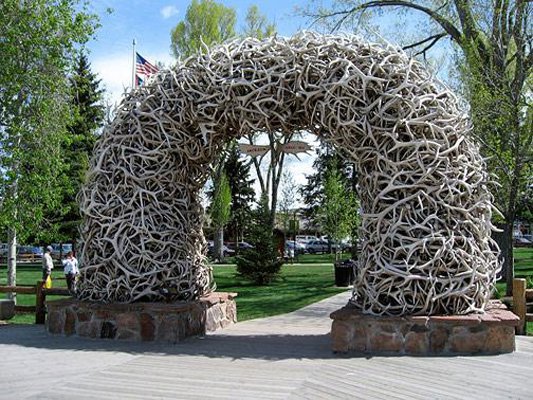 Elk Antler Arches