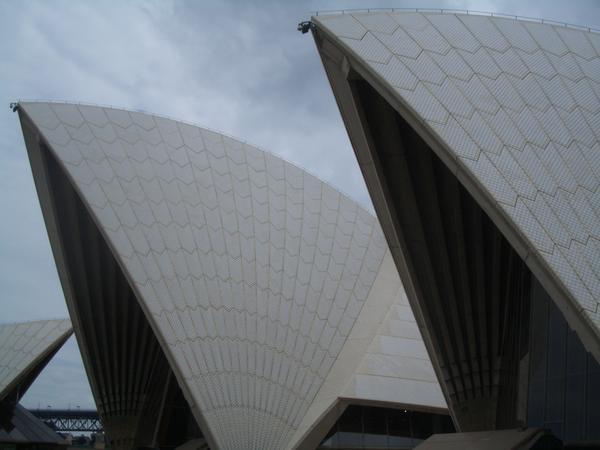 Sydney Opera House4