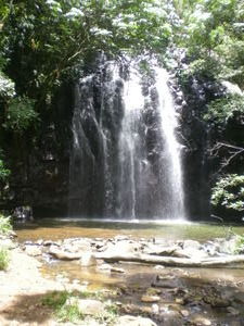 First Waterfall of the waterfallday