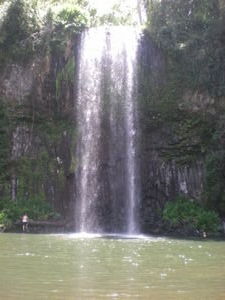 Third Waterfall of the waterfallday. This one is Millaa millaa
