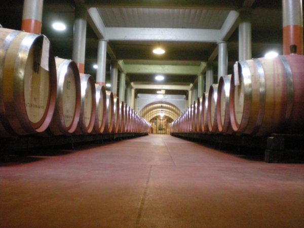 Penfolds Winery