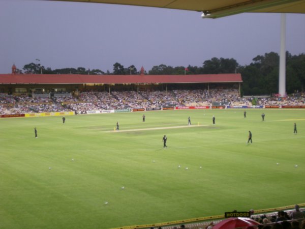 Adelaide Oval Cricket Aus-NZ