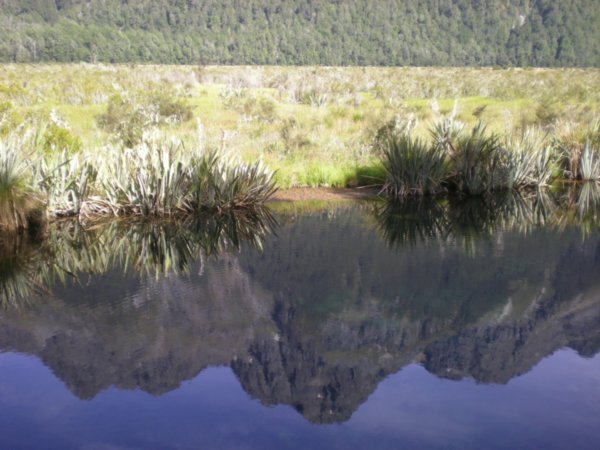Mirror lakes on Milford Sound Rd.