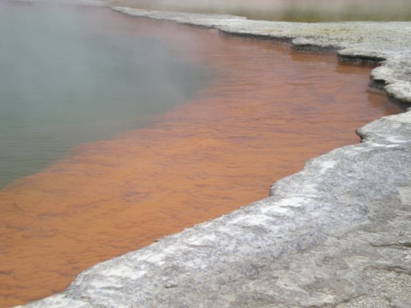 The Champagne pool up close