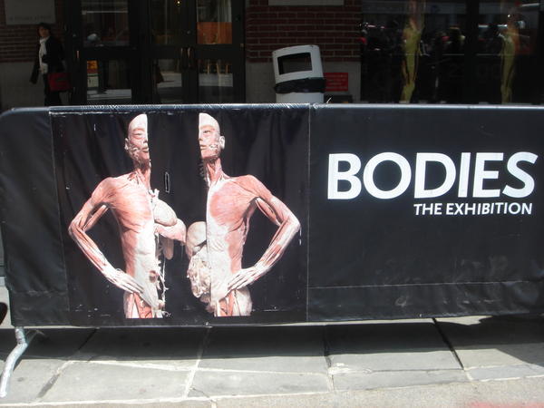 The Bodies