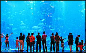 Aquarium in the Atlantis Hotel
