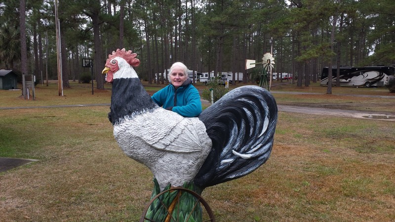 Michelle with rooster