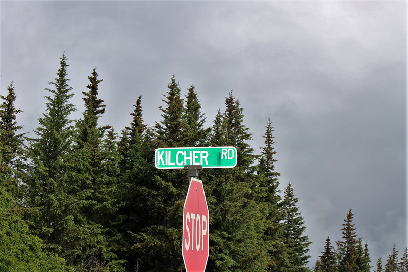 Drive 10 miles out of Homer and make a Right on Kilcher Rd.
