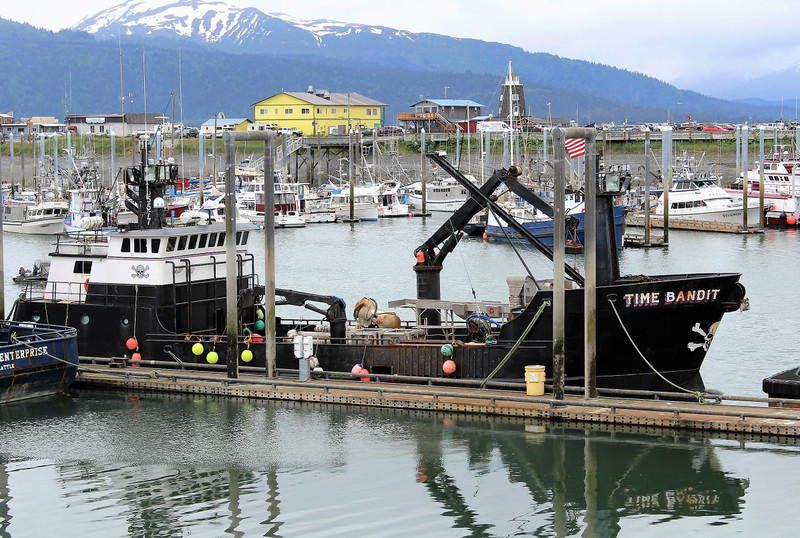 Look what we found in the Homer harbor