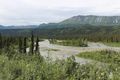 The Nenana River swollen by the recent rains