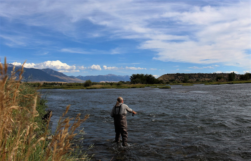 Living the dream, fly fishing the Madison River in Cameron, MT