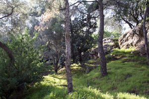 Filopappos Hill