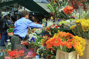 Friday Morning Market Flowers