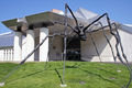 Kemper Spider