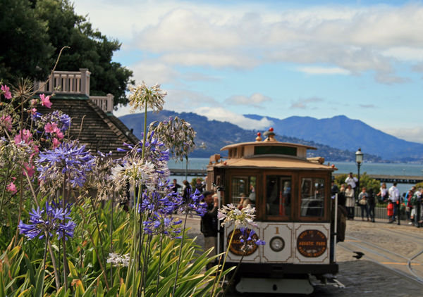 Cable Cars & Bay