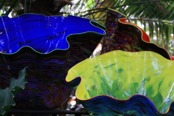 chihuly at the gardens