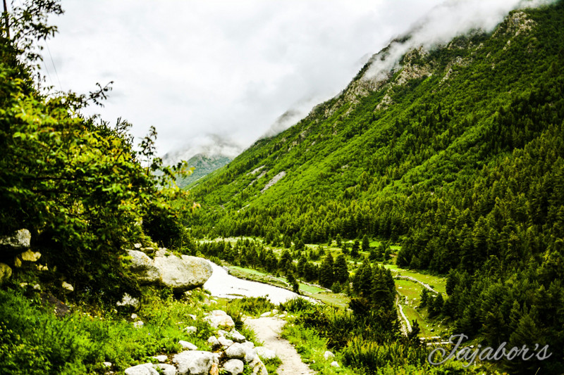 The meadows of Chitkul
