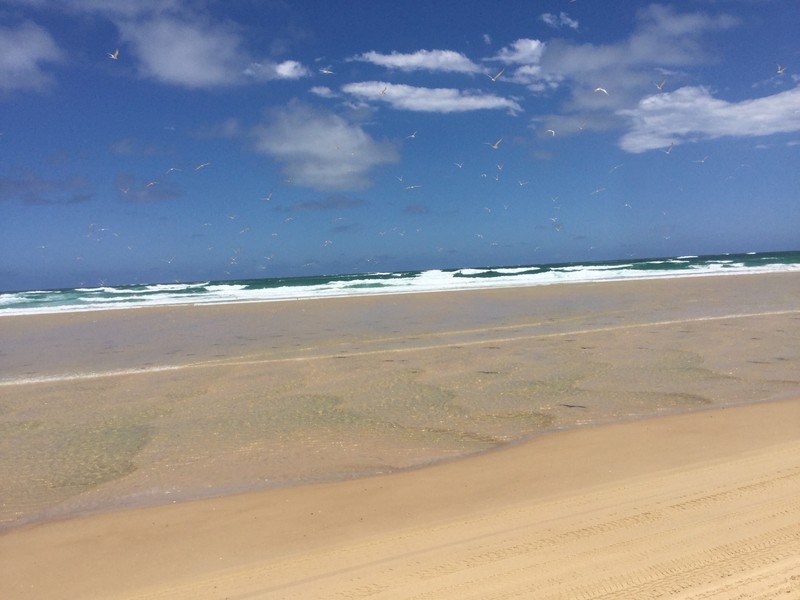 Fraser Island 75 mile beach
