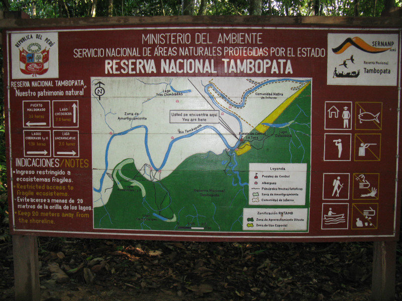 Tambopata Reserve