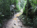 Muddy trail