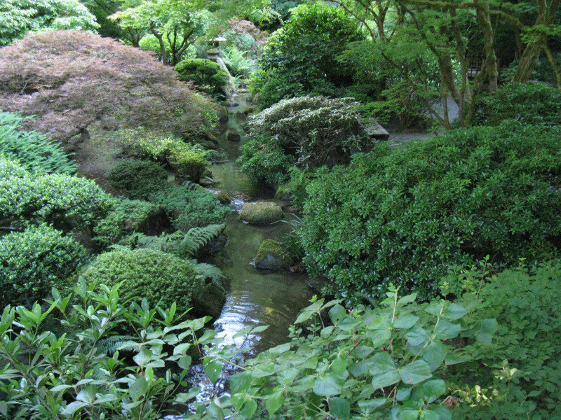 Washington Park - Japanese Garden