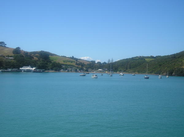 Pulling into the harbour at Weiheke