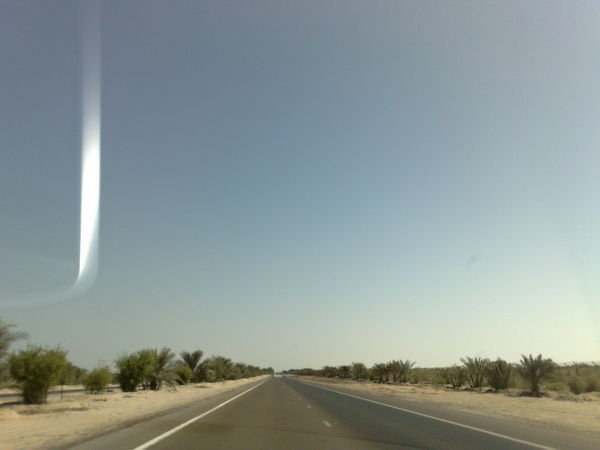 The desert on the drive up