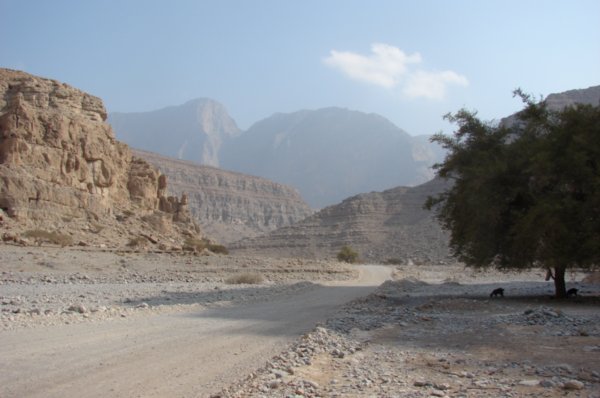 In the wadi