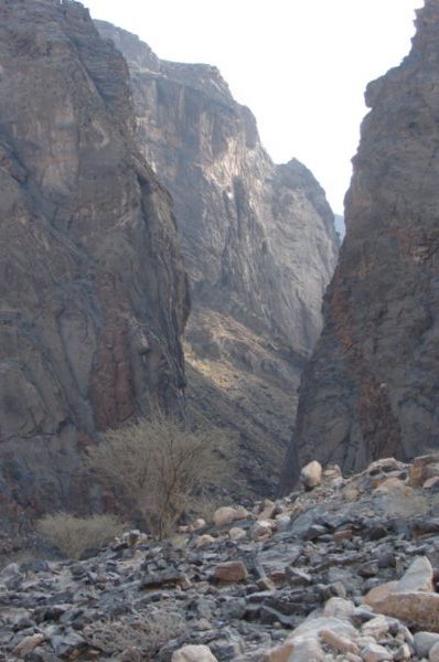 Snake Canyon