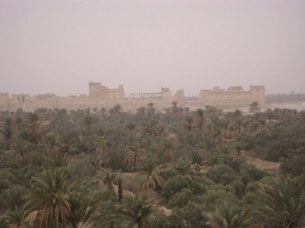 View of Palmyra
