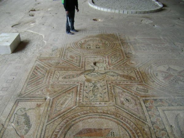 The mosaic floor