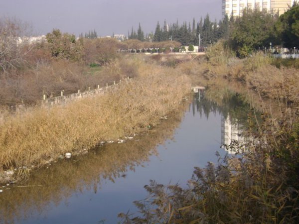 Orontes River in Hama