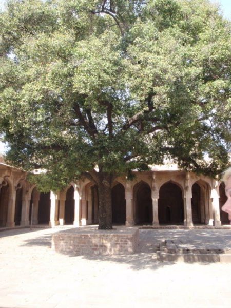 old chanderi mosque