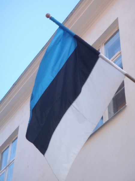The estonian flag