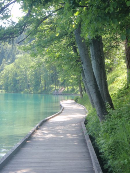 The boardwalk around the lake