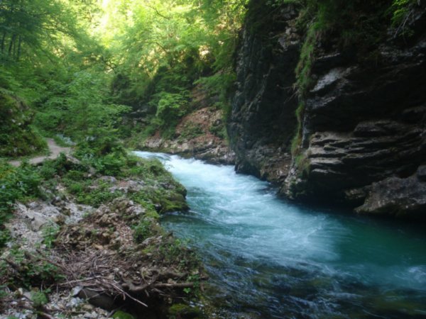 Radovna River again