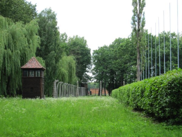 fencing at Birkenau