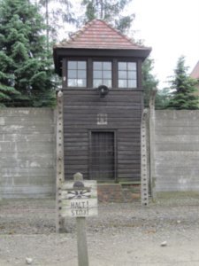 Auschwitz again