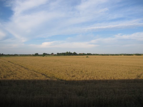 Serbian farmland
